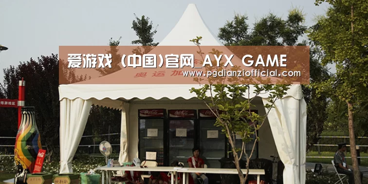 案例标题五